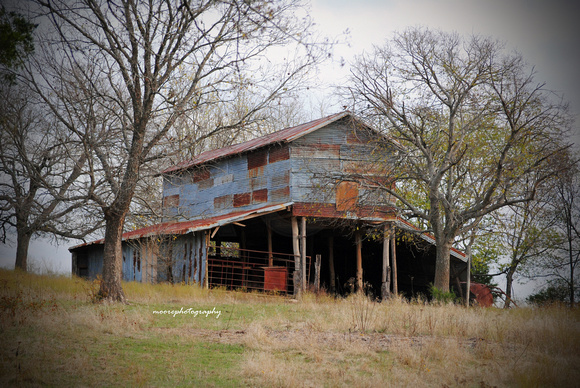 Old Barn Photo in Cotton Center, Texas