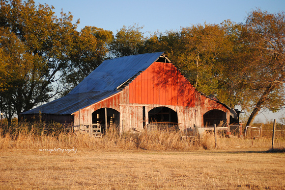 Old Barns in Bailey, Texas