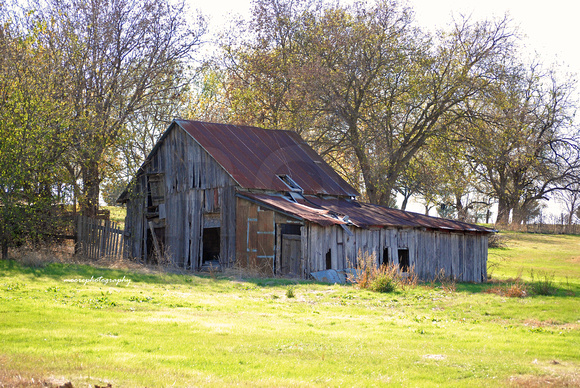 Barn Pictures in Savoy, Texas