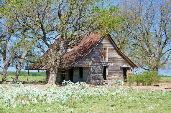 Old Homesteads in Ely, Texas