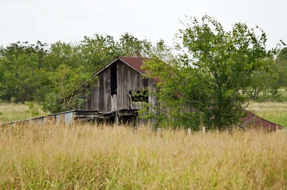 Old Barns in Union Valley, Texas