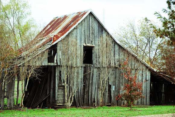 Old Barn Photo in Ivanhoe, Texas