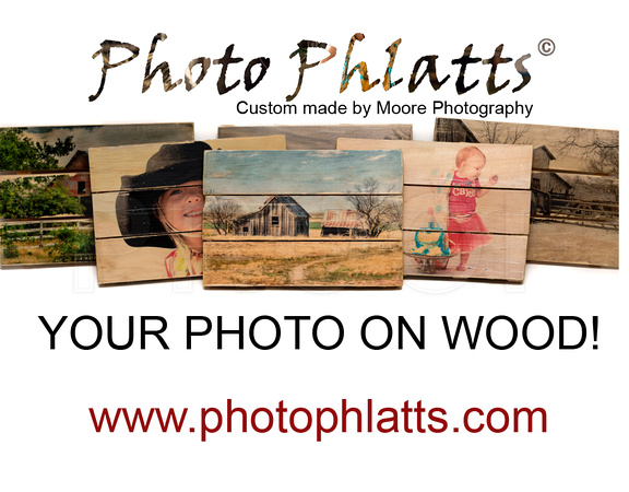 Photo Phlatts©, Your photo on wood!