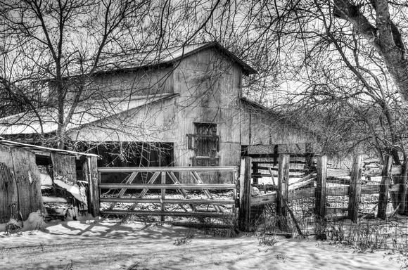 Old Barns in Pot Rack Creek, Texas Prints Black & White