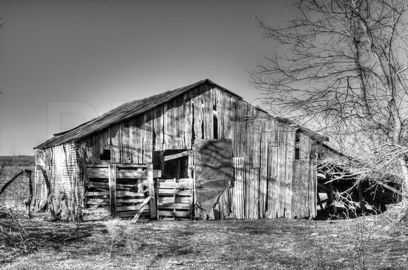 Old Texas Barn in Enloe, Texas in black & white