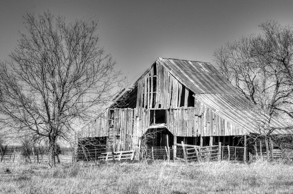 Old Texas Barn in Royse City, Texas Black & White