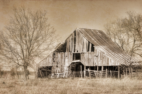 Old Texas Barn in Royse City, Texas