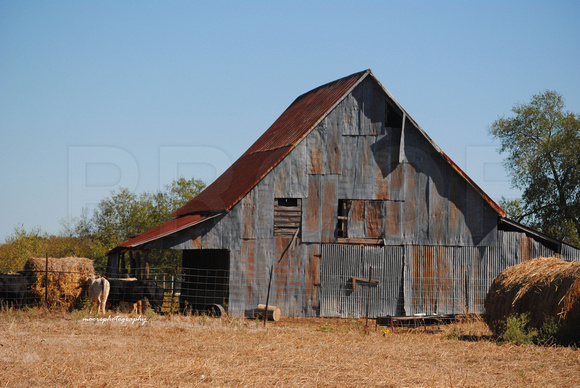 Barns in Pecan Gap, Texas