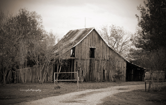 Old Barn Photos in Ivanhoe, Texas