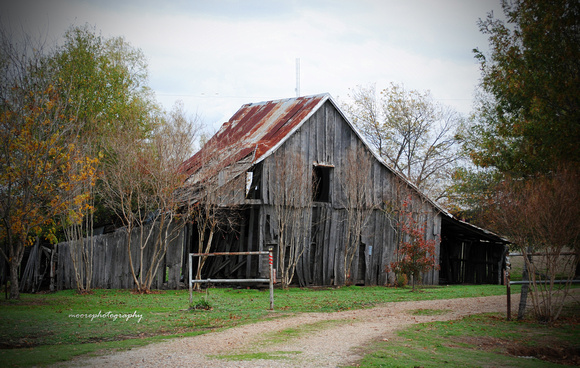 Old Barn Photos in Ivanhoe, Texas