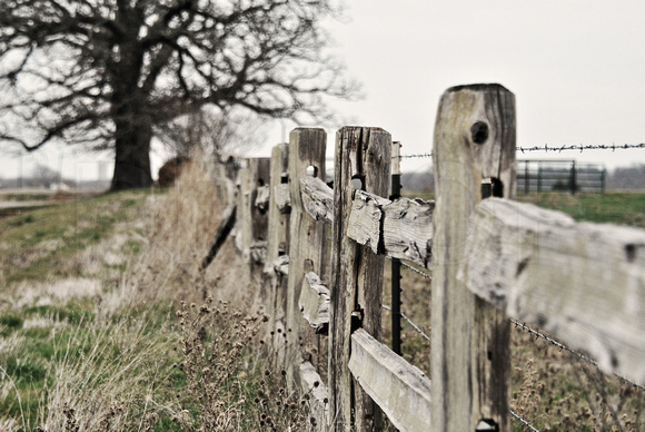 Old Wood Fence, Utica, OK