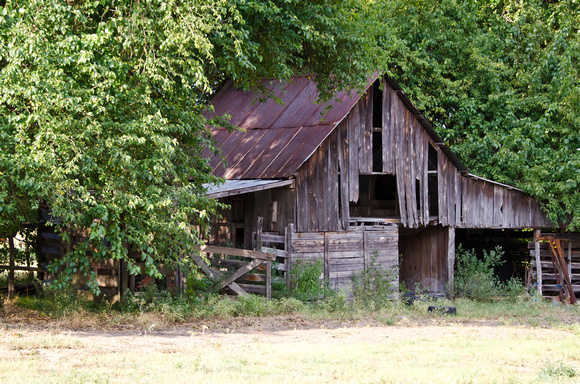 Old Barns in Wolfe City, Texas