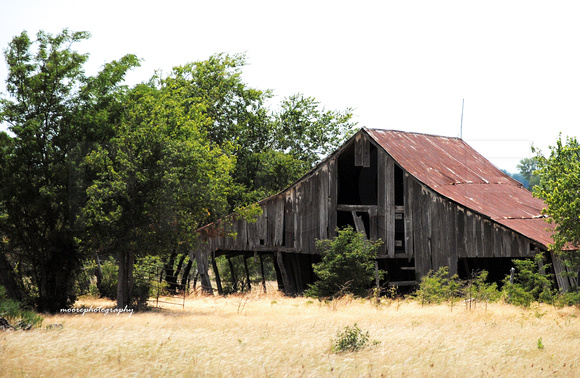 Barn Pictures for Sale, Windom, Texas