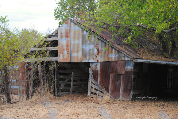 Old Barn in Wolfe City, Texas
