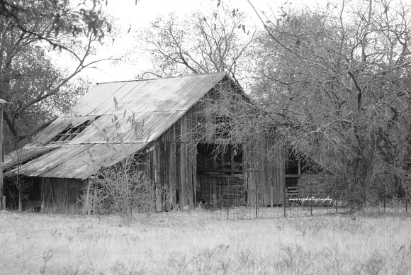 Old Barn Picture in White Rock, Texas