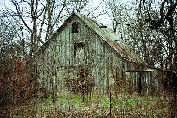 Old Barn Photos in Hale, Texas