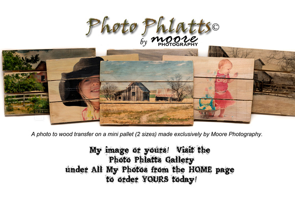 Photo Phlatts© by Moore Photography