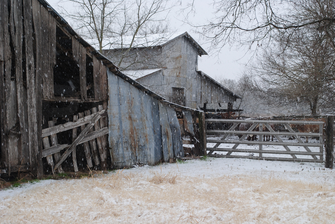 Barn Pictures in Pot Rack Creek, Texas