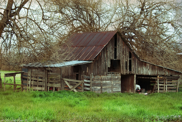 Old Barns in Wolfe City, Texas