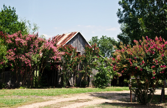 Old Barns in Ivanhoe, Texas