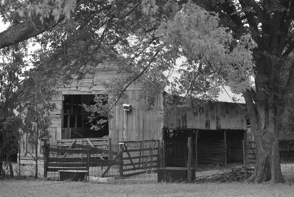 Old Barns in Bonham, Texas